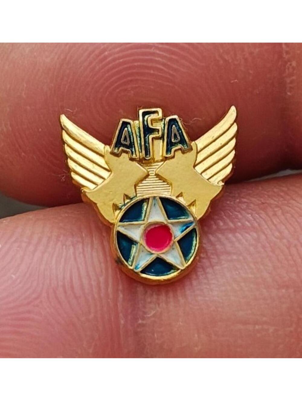 1940s Air Force Association (AFA)  Winged Star Gold Tone Enamel Pin